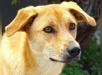 LIA ist dem Tod knapp entkommen