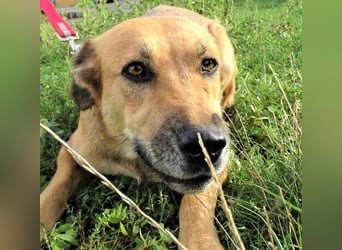 STELLA 2 ist sehr verschmust