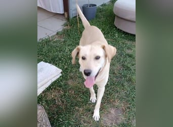 REXI ist ein Goldschatz REXI ist ein Goldschatz