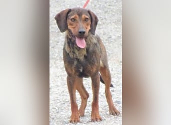 DONNIE braucht Lebensretter