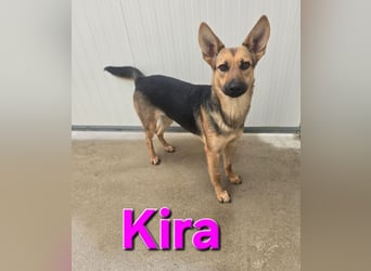 KIRA braucht Hilfe um zu überleben