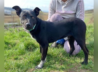 HAPPY  wurde eiskalt ausgesetzt