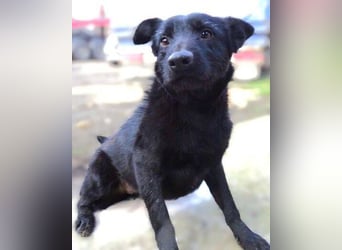 TEA muss um ihr junges Leben zittern