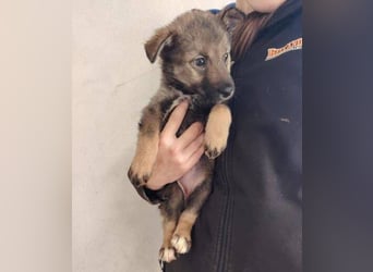 DUNJA das Baby wurde einfach zurück gelassen
