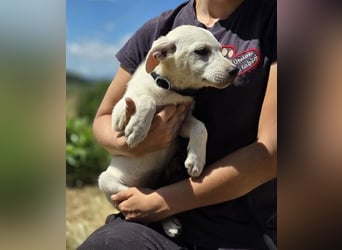 CLEO wer schenkt dem Baby Liebe und Geborgenheit?