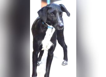 JEFF 2 hat Angst, wer rettet ihn?