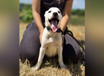 CLEO wer schenkt dem Baby Liebe und Geborgenheit?
