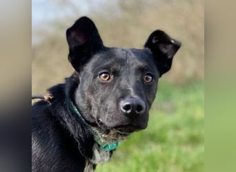 HAPPY  wurde eiskalt ausgesetzt