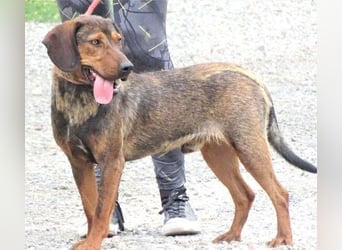 DONNIE braucht Lebensretter