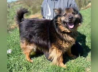 BUGY musste ein elendes Leben fristen