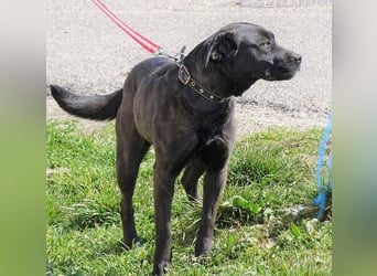 NIKA - Wer gibt ihr die Hoffnung zurück?