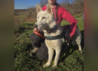 ADRIENA ist verspielt und freundlich