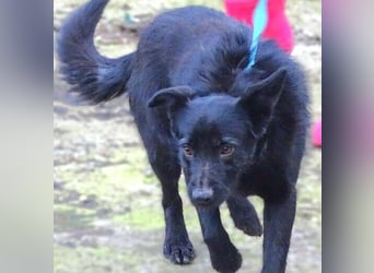 TEA muss um ihr junges Leben zittern