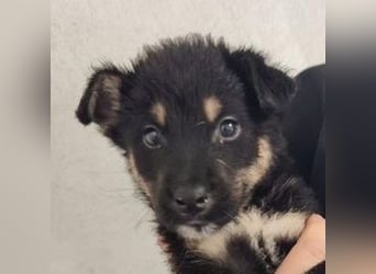 NATHAN das Baby wurde herzlos ausgesetzt