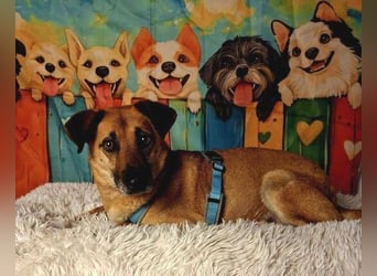 ROXY ist ein super Begleiter