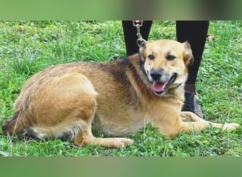 STELLA 2 ist sehr verschmust