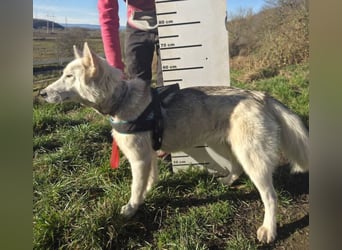 ADRIENA ist verspielt und freundlich