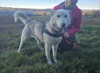 ADRIENA ist verspielt und freundlich