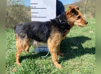 MILLI , wer zeigt ihr wie schön das Leben sein kann.?