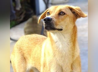 LIA ist dem Tod knapp entkommen