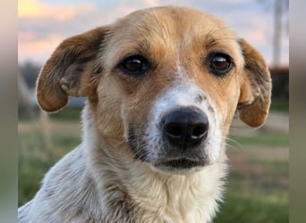 Bella - tolle Mama sucht ihr Happy End!