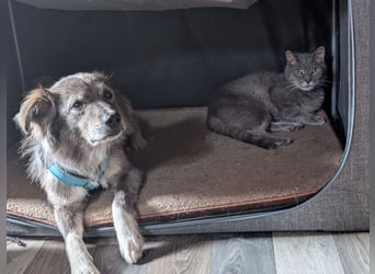 Monty - sucht Menschen mit Herz und Verstand!