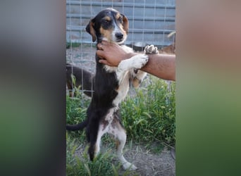 Hero - kleiner Held sucht dich!