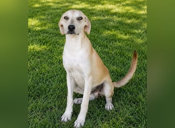Pico - kleiner Entdecker sucht Abenteuer!