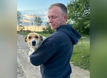 Bella - tolle Mama sucht ihr Happy End!