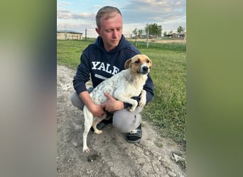 Bella - tolle Mama sucht ihr Happy End!