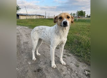 Bella - tolle Mama sucht ihr Happy End!