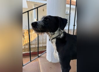 Frida