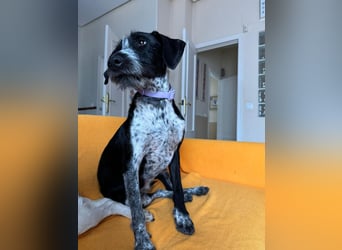 Frida