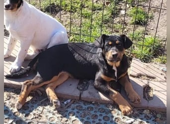 GEO *bei unserer Pflegestelle in 88167 Gestratz*