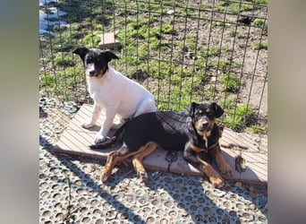 GEO *bei unserer Pflegestelle in 88167 Gestratz*