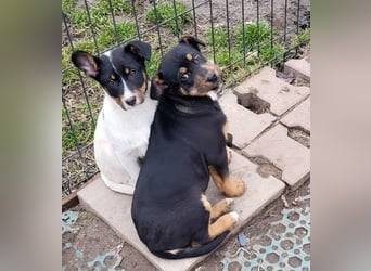 GEO *bei unserer Pflegestelle in 88167 Gestratz*