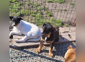 GEO *bei unserer Pflegestelle in 88167 Gestratz*