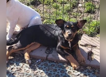 GEO *bei unserer Pflegestelle in 88167 Gestratz*