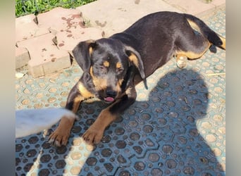 GEO *bei unserer Pflegestelle in 88167 Gestratz*