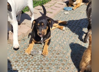 GEO *bei unserer Pflegestelle in 88167 Gestratz*