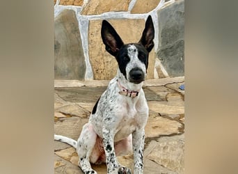 Cassidy wünscht sich eine Familie