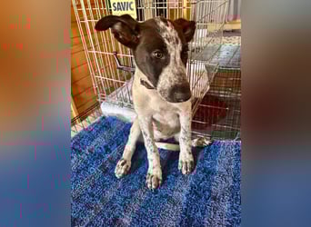 Cassidy wünscht sich eine Familie