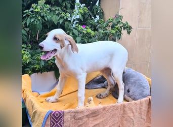 FERRAN sucht seine eigene Familie!