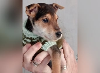 Marco wünscht sich seine eigene Familie