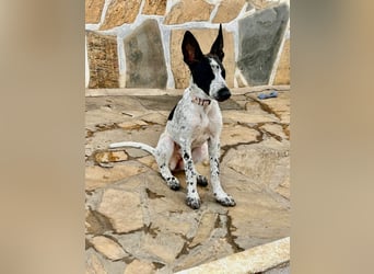 Cassidy wünscht sich eine Familie