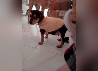 Marco wünscht sich seine eigene Familie