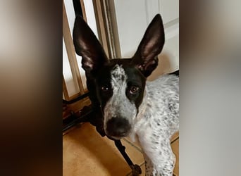 Cassidy wünscht sich eine Familie