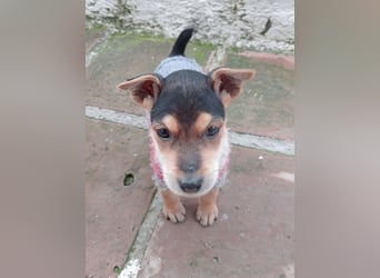 Marco wünscht sich seine eigene Familie