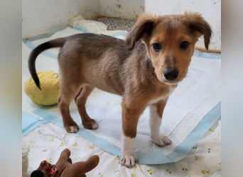 Willow möchte mit dir ins Leben starten!