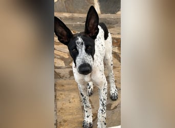 Cassidy wünscht sich eine Familie